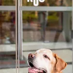 فندق Ibis Centre كونْياك