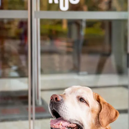 Hotel Ibis Centre Cognac