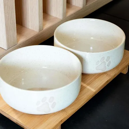 Hotel Ibis Centre Cognac