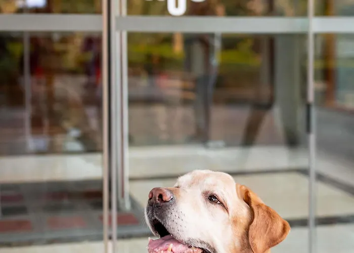 Hotel Ibis Centre Cognac