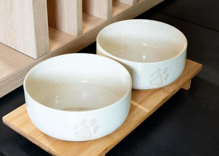 Hotel Ibis Centre Cognac